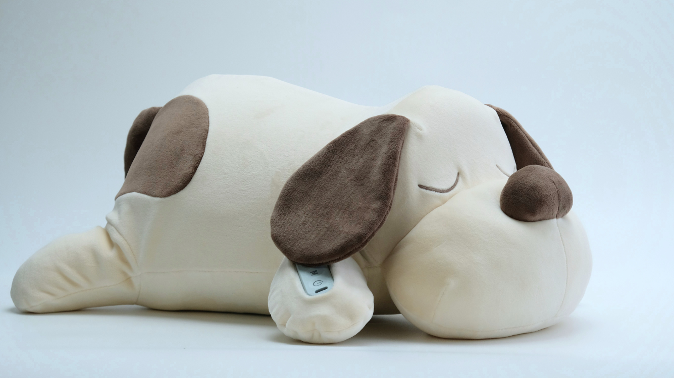 How to Help Your Child Settle for Sleep After Playtime